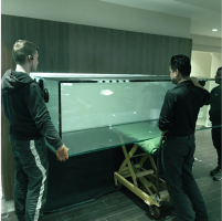 Fish Tank Moving