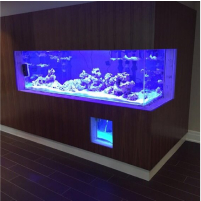 Fish Tank Completed